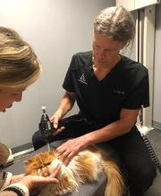 Reid Family Wellness image 15