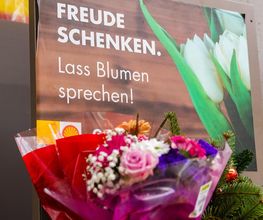 Shell Bild 16