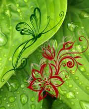 Envolée Florale image 1