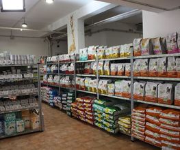 Gallery Cliente