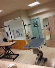 Aux Toutous Choyés image 3