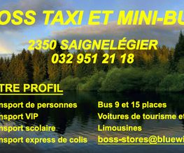 Boss taxi et mini-bus Sàrl Bild 1