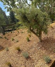 AR HORIZON image 2