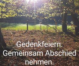 Wald-Zeremonien Bild 5