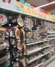 Centrakor Lanvollon image 1