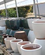 Breshear's Nursery & Greenhouse image 16