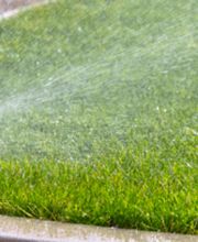 Magic Garden Sagl Bild 3