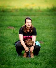 Hundecoach Melly- Mobil & Individuell Bild 7
