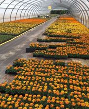 Les Serres De Biennac image 3