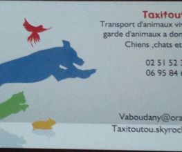 Taxi Toutous image 3