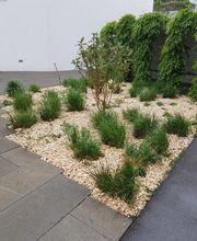 Thomas Gasser AG Bild 10