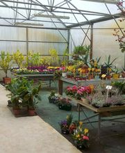 Les Jardins D'Alexandre image 16