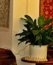Perzische Tapijtenhandel Maison d’Iran in Vaals