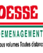 Demenagements Desse image 3