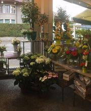 Donzier Fleurs image 12