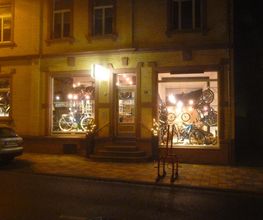 Hamel Selected-Bikes Bild 8