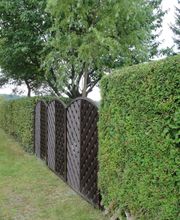 Schneefrei Hanl GmbH Winterdienst - Gartenpflege - Straßenreinigung - Aufgangsreinigung Bild 4
