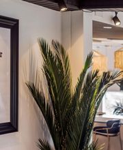 BOA ONDA/NEBOA by BOA ONDA imagen 14