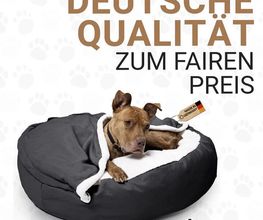 DBULLDOG GmbH Bild 3