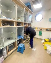 ClinicVet Vétérinaire Beaumont-le-Roger image 3