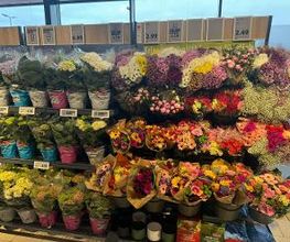 Lidl Bild 5