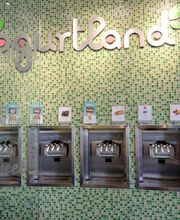 Yogurtland Plaza Mexico image 3