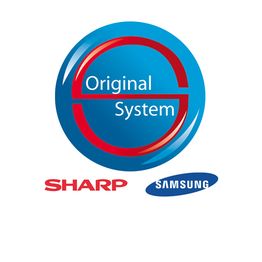 Original System