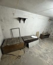 IMG_2666.jpeg