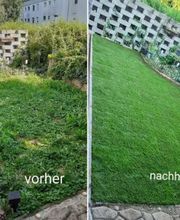 ARAM Garten- und Landschaftsbau Bild 2