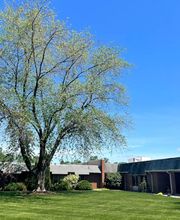 Majestic Care of Flushing image 2