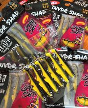 Fisherpoint Gonseth Bild 6