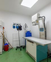 Clinique Vétérinaire Mon Véto Bourgtheroulde image 9