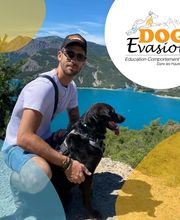 Dog Evasion 05 image 1