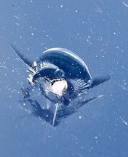 Wintec Autoglas - Stephan Jungbluth Bild 1