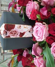 Schinkenmeyer Bestattungen Bild 7