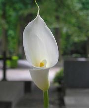 Pompes Funèbres Rachel Jouanny image 3