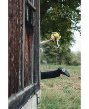 Kai Mischner Photography Bild 3