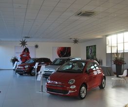 Gallery Cliente