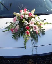 A la Pensée image 3