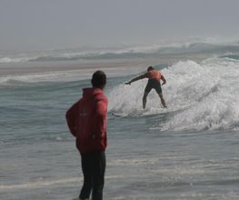 One Palm Surfshop - École de Surf image 12