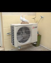 Mister Clim 33 image 13