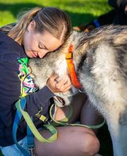 VanJara-Dogtraining by Vanessa Rieder Bild 1