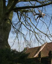 Sarl François Viltard image 2