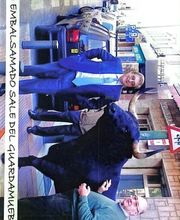 804161-2-cb6Ob9wVaf1782206616022.jpeg