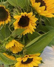 Fleur Evasion Sàrl Bild 9