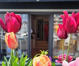 Boutique Sugar image 9