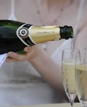 Champagne Petit-Triolet image 15