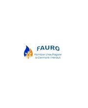 Fauro François image 3