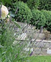 Gartengestaltung Patrick Müller GmbH Bild 4