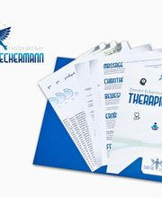 Dimitri Eckermann Heilpraktiker Bild 5